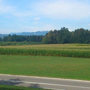 Hotel Dežman Bed & Breakfast cazare Kranj