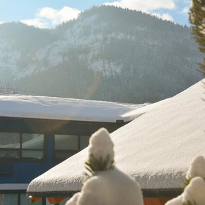 Hotel The Dorothy Motel cazare Banff