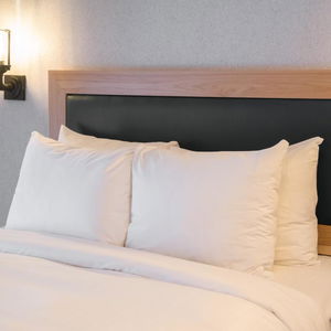 Hotel Tunnel Mountain Resort cazare Banff