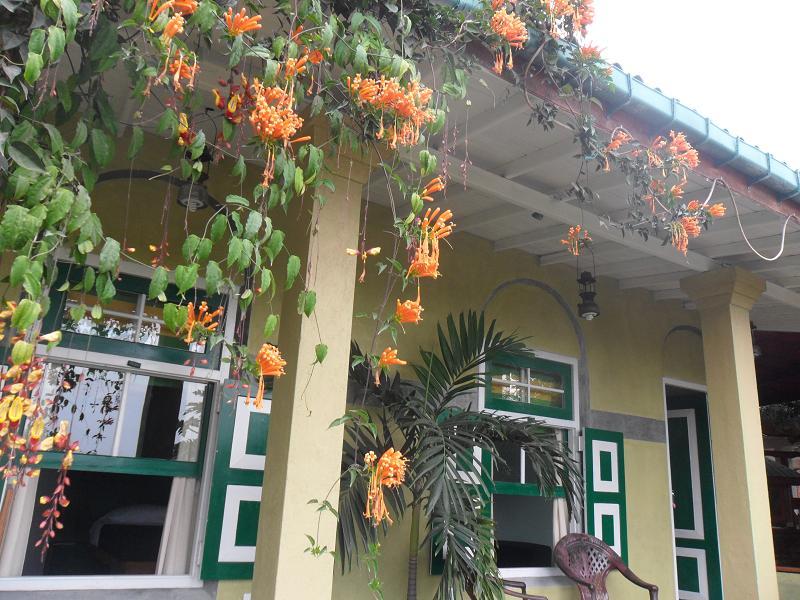 Hotel Ella Tea Garden