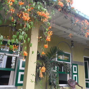 Hotel Ella Tea Garden cazare Ella Town