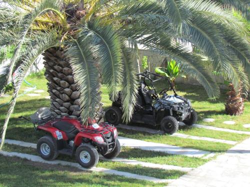 Hotel Dalyan Palmiye Resort