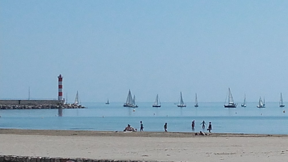 Mediterranee