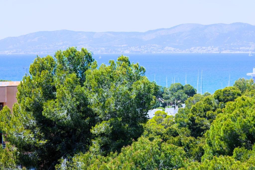 dal travel Welikehotel Fenix