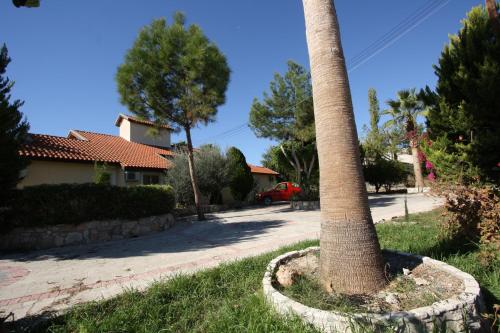 Alonia Villas