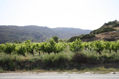 Alonia Villas