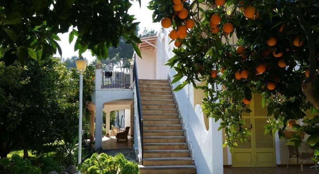 dal travel Hostal Amistad