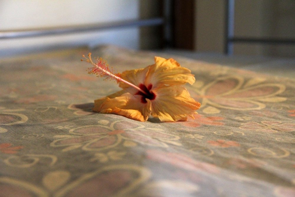 Hotel Bamboo Travellers