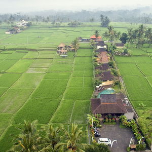 Sejur Kabinawa Ubud Villas And Cafe vacanta Bali