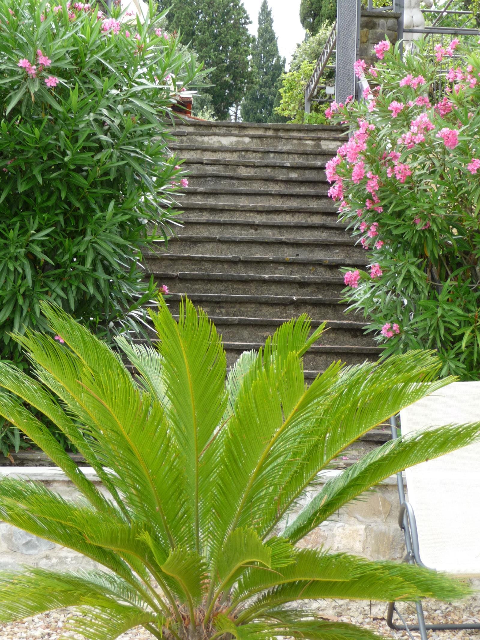 Hotel Hotel Villa Dei Bosconi