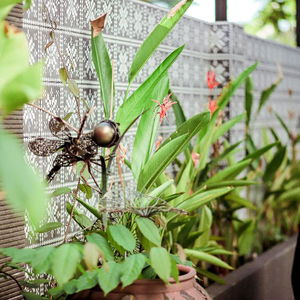 Hotel De An cazare Hoi An