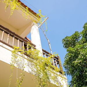 Hotel An Bang Morning Glory Beach Homestay cazare Hoi An