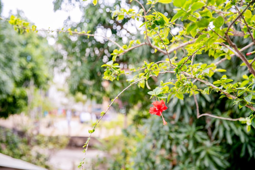 An Bang Morning Glory Beach Homestay