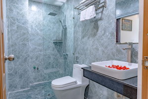 Hotel Little Boss Homestay cazare Hoi An