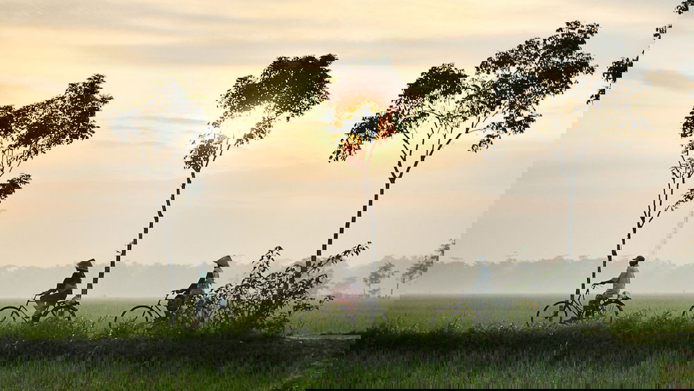 Hotel Sunkissed Paddy Hoi An Villa