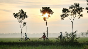 Hotel Sunkissed Paddy Hoi An Villa cazare Hoi An