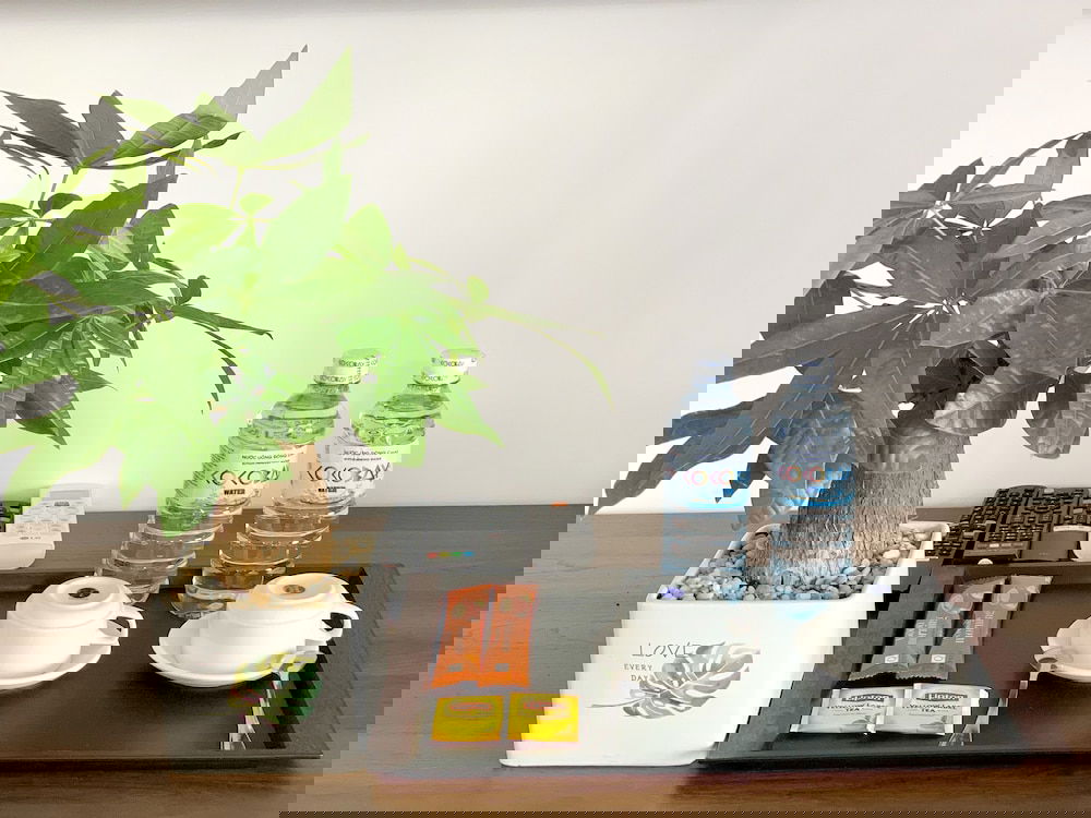 Hotel Tropical Sands Villa