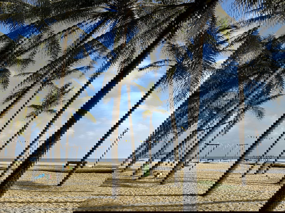 Hotel River Beach Resort