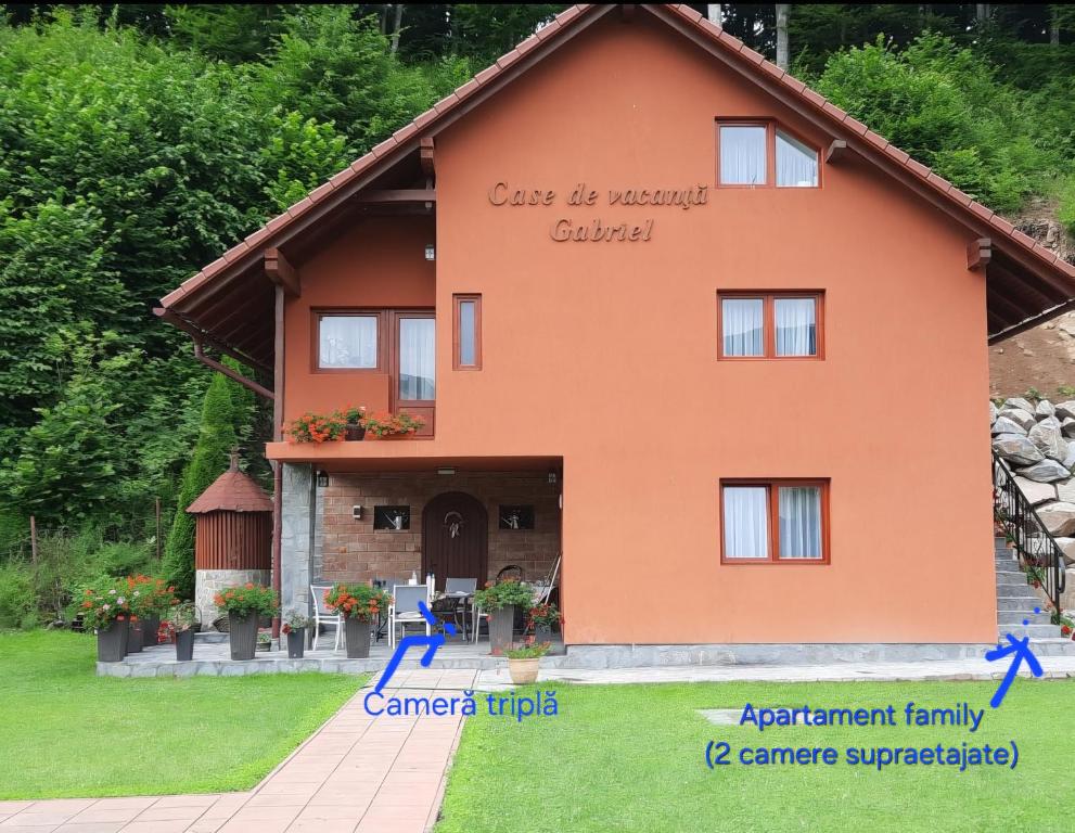 Hotel Case De Vacanta Gabriel