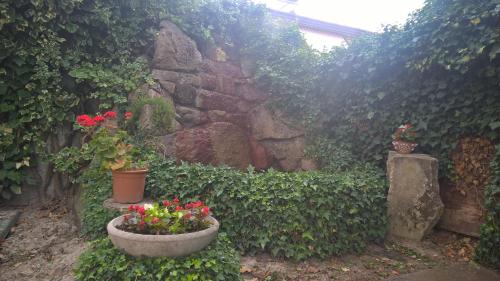 Hotel Terme Belvedere