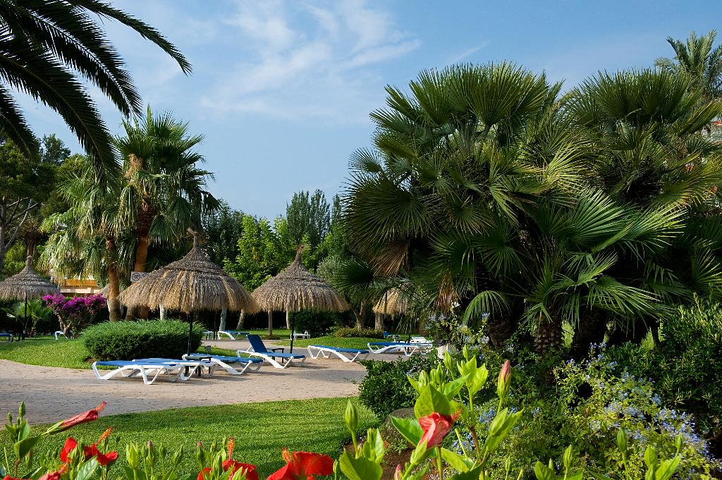 dal travel Apartamentos Siesta I