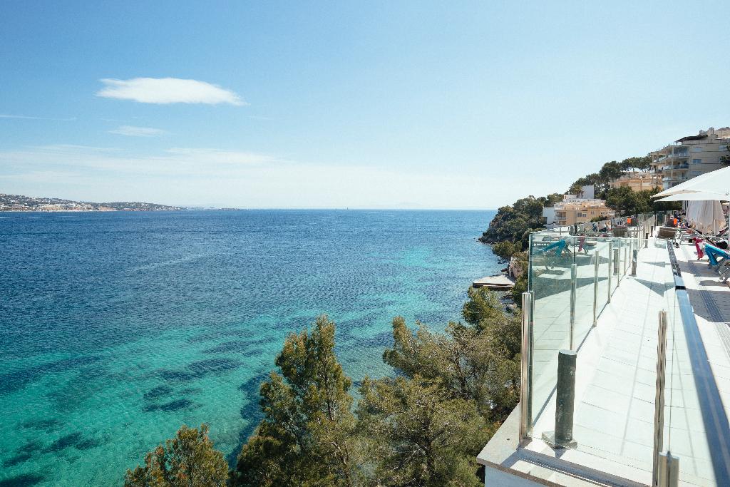 dal travel Alua Palmanova Bay