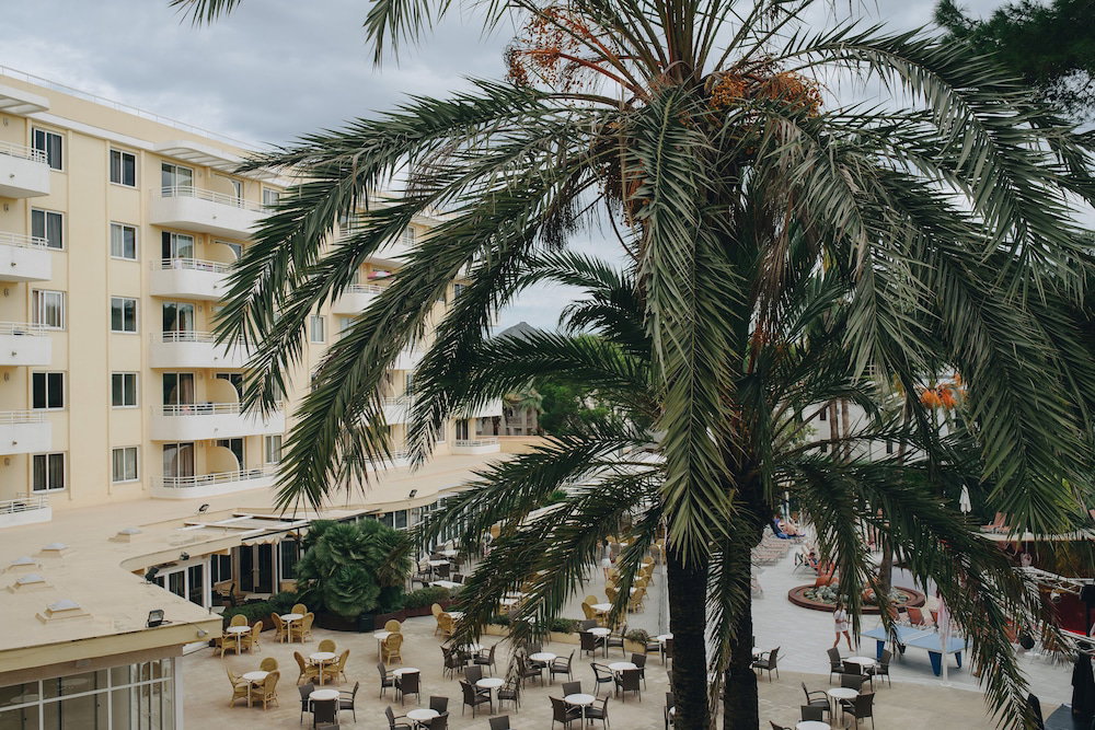 dal travel Ivory Playa Sports & Spa