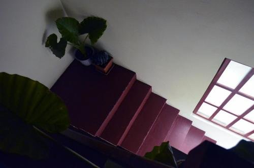 Hotel Apartments Nera