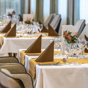 Hotel Willis Hotel Business & Wellness cazare Zalaegerszeg