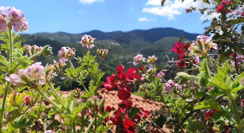 Hotel Rastoni Andros Apartments