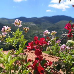 Hotel Rastoni Andros Apartments cazare Andros