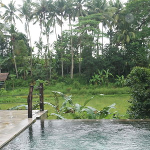 Sejur Swarapadi Villa vacanta Bali