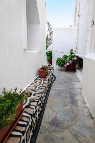 Hotel Christina Rooms