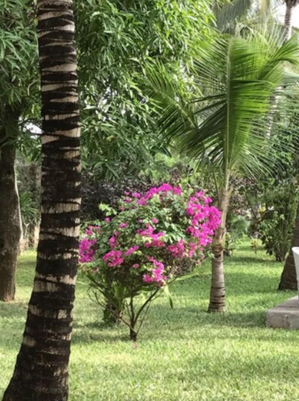 Hotel The Villa Luxury Suites Hotel