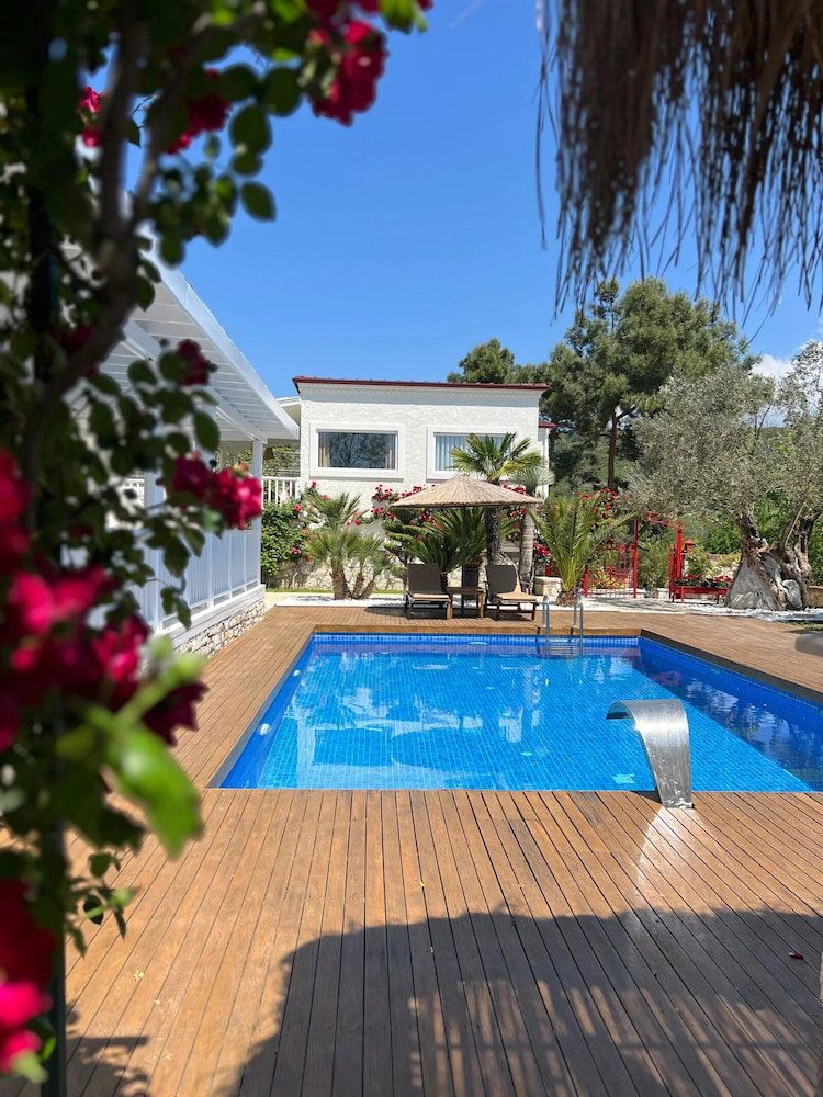 Hotel Casa Del Olivia