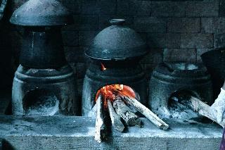 Hotel Nandini Jungle By Hanging Gardens