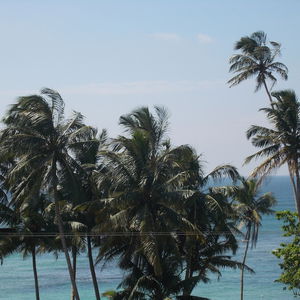 Hotel Peacock Wings Guest House cazare Mirissa city