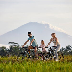 Hotel The Westin Resort And Spa Ubud Bali cazare Bali