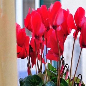 Hotel B&B Donna Eleonora cazare Matera