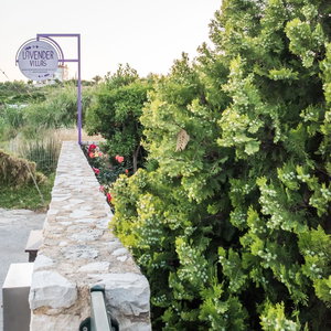 Hotel Lavender Villas Chania cazare Dimos Platanias