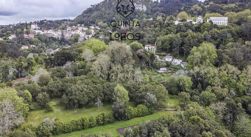 Hotel Quinta Dos Lobos Boutique Hotel - Art & Nature Experience