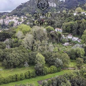 Hotel Quinta Dos Lobos Boutique Hotel - Art & Nature Experience cazare Sintra