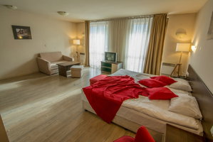 Hotel Banderitsa Studio Bansko 2 cazare Bansko
