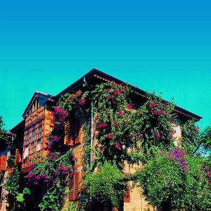 Hotel Begonville Pansiyon cazare Side