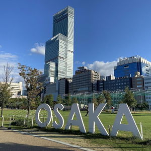 Hotel Hotel Nikko Osaka cazare Osaka