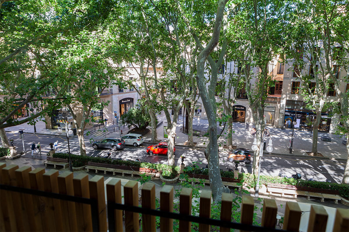 dal travel Nivia Born Boutique Hotel