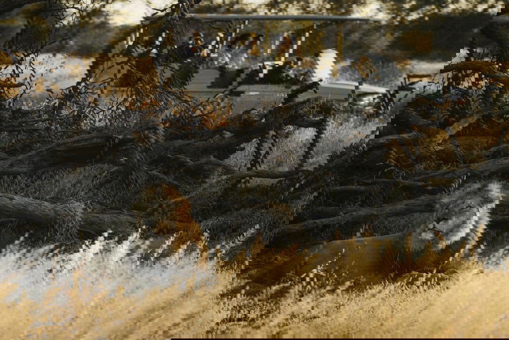 Hotel Our Habitas Namibia