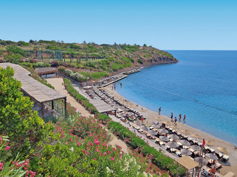 Laur Hotels Experience And Elegance