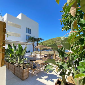 Hotel The Olive Boutique Suites And Spa cazare Cala Llonga