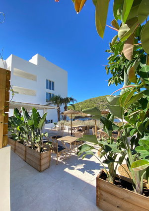 Hotel The Olive Boutique Suites And Spa cazare Cala Llonga